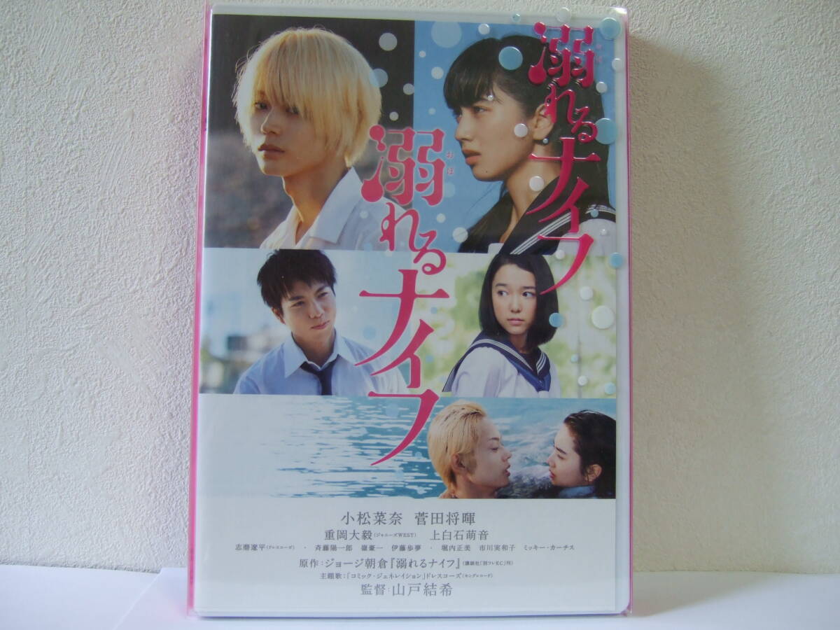 新品】 当選 小松菜奈 菅田将暉 チェキ 直筆サイン入り（ 当選通知書