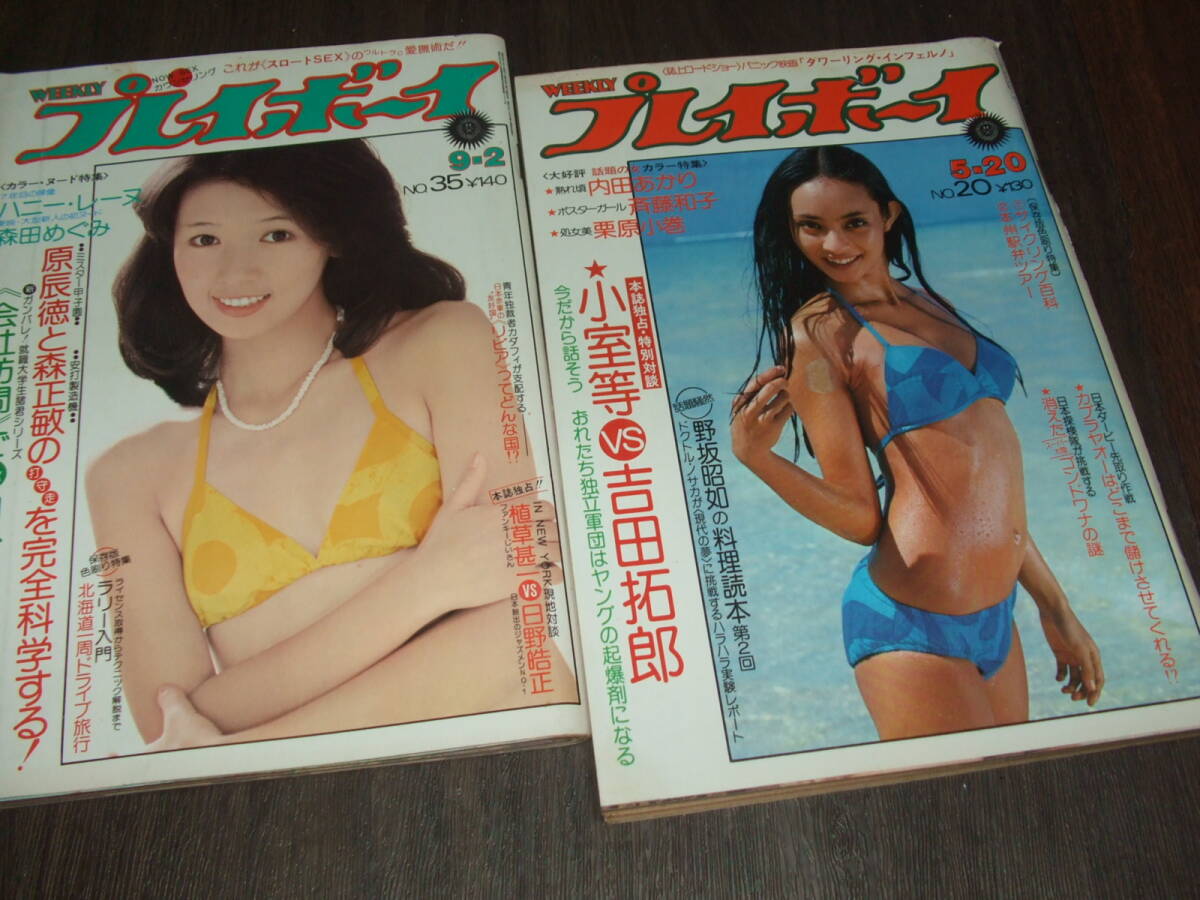 傷や汚れあり】ハニー・レイヌ ポスター パネル ELLE ハニー・レーヌ