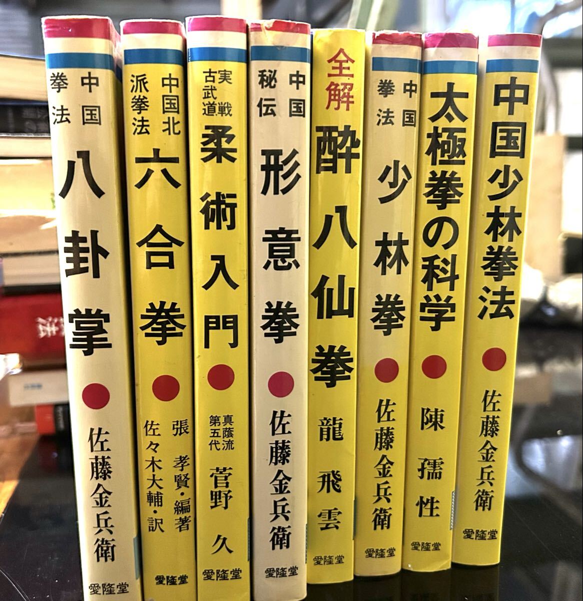 3C☆/中国拳法振興会 中国拳法大講座 27冊セット 著・大塚忠彦、陳宏宗