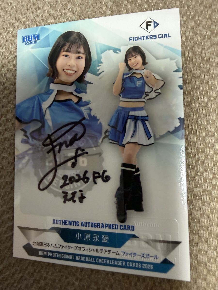 目立った傷や汚れなし】BBM2019 滝谷美夢 直筆サイン FIGHTERSGIRL