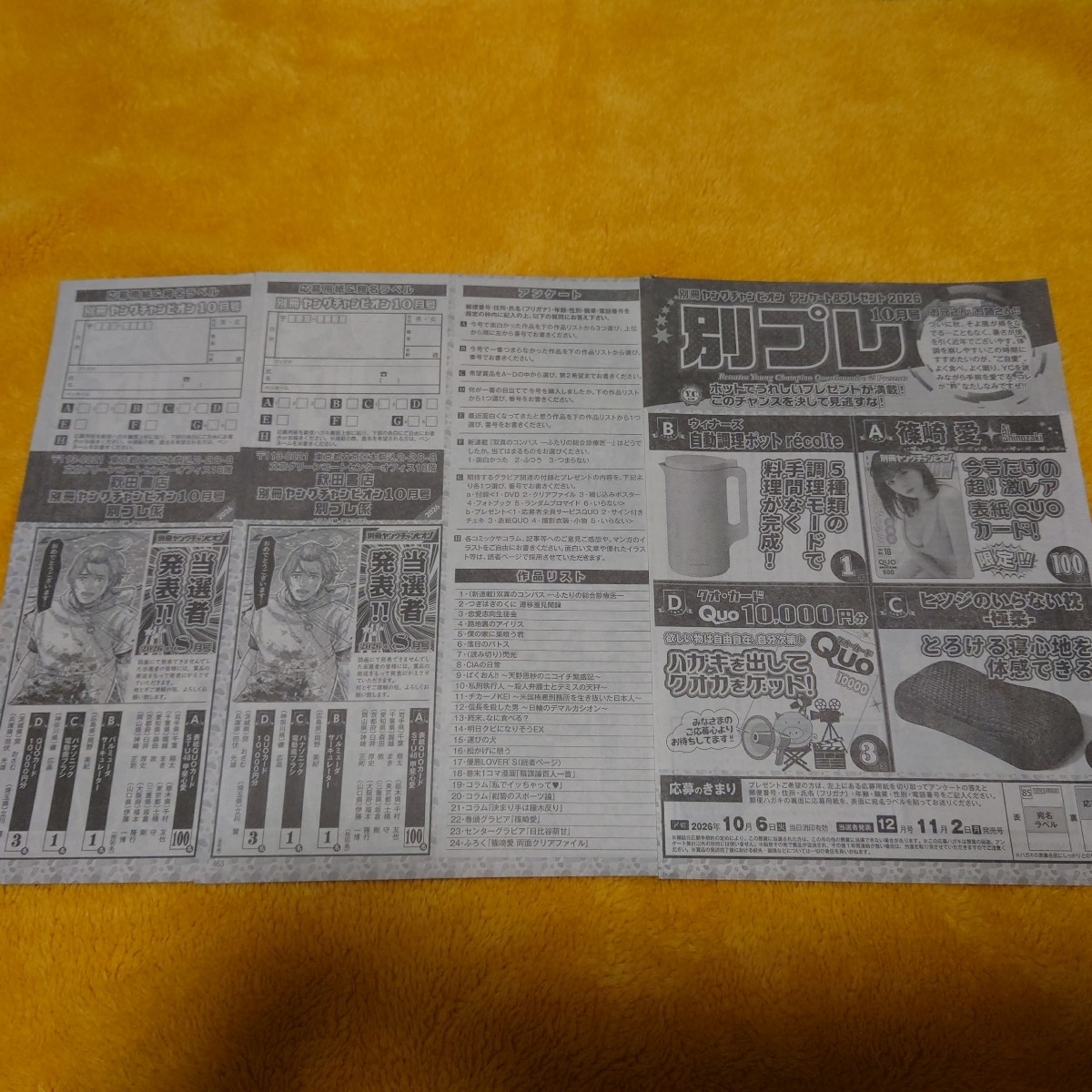 週刊ヤングマガジン　No.1522　2010年4月19日号　桜庭ななみ　杉原杏璃 新品】杉原杏璃 ヤングチャンピオン 2010 QUOカード 未使用 抽プレの