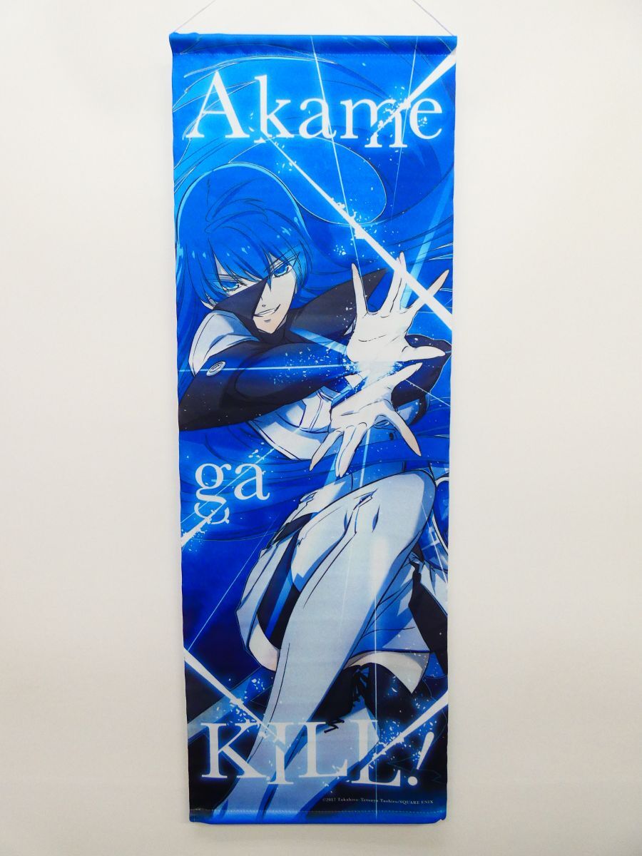 アカメが斬る　ゲーマーズ特典　エスデス　レア 中古】アカメが斬る! 4巻 とらのあな特典小冊子 エスデス様のうすい本