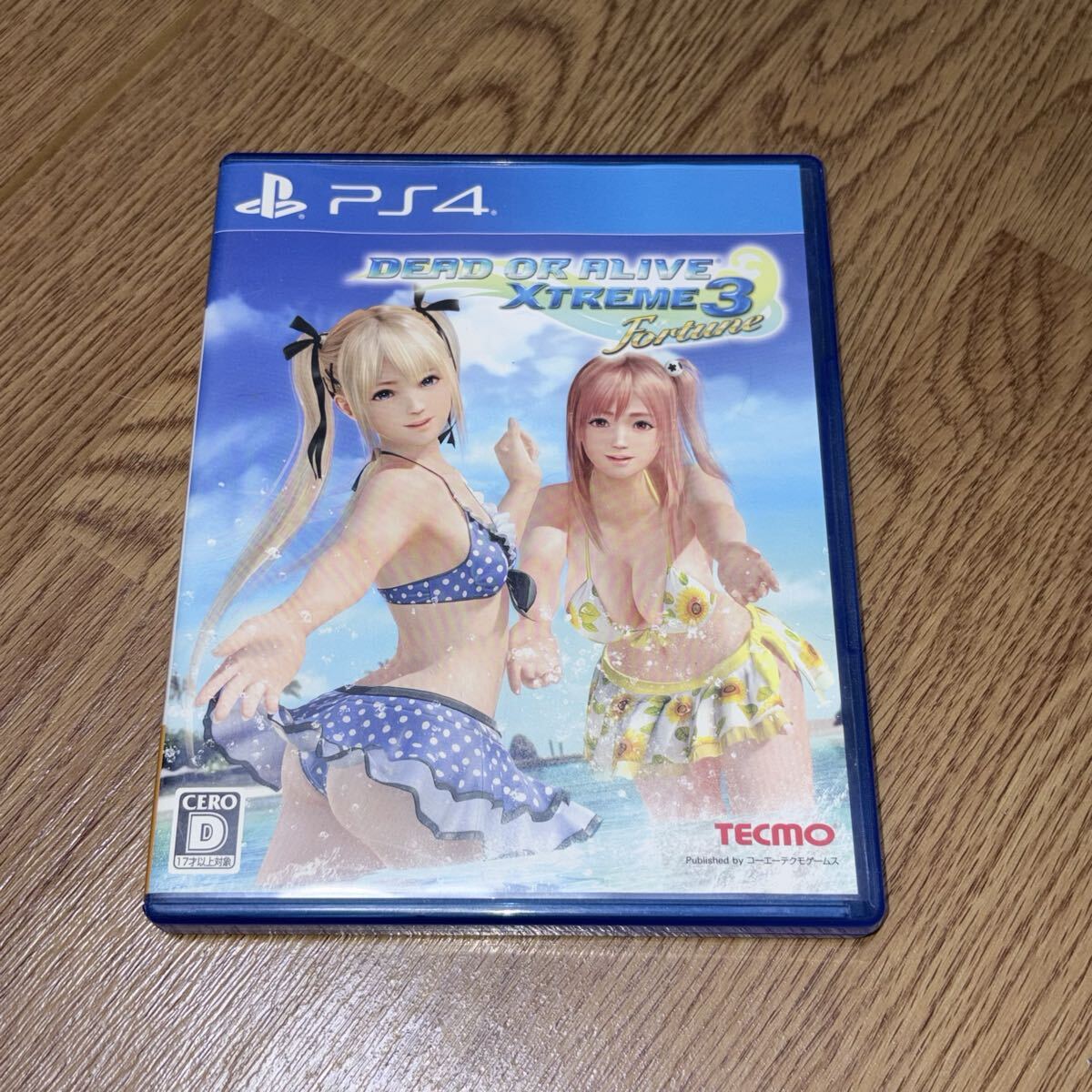 □デッドオアアライブ3 かすみ DEAD OR ALIVE 3 アートロード イベント