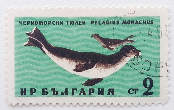 ブルガリア 切手 1961年発行 黒海の生物 チチュウカイモンクアザラシ 郵便 郵趣 動物 東欧 中欧 ヨーロッパ 生き物 Bulgaria 魚介 アザラシ の落札情報詳細 ヤフオク落札価格情報 オークフリー スマートフォン版 ブルガリア 切手 1961年発行 黒海の生物 チチュウカイモンクアザラシ 郵便 郵趣 動物 東欧 中欧 ヨーロッパ 生き物 Bulgaria 魚介 アザラシ の落札情報詳細 ヤフオク落札価格情報 オークフリー スマートフォン版