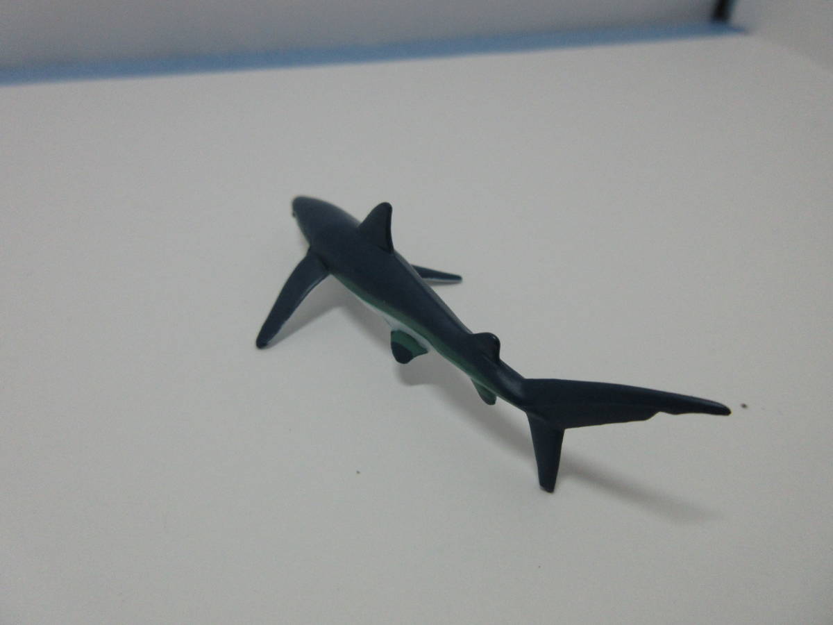 カロラータ 立体図鑑 サメの仲間 シャーク オブ ザ ワールド サメ エイ マンタ ヨシキリザメ の落札情報詳細 ヤフオク落札価格情報 オークフリー スマートフォン版