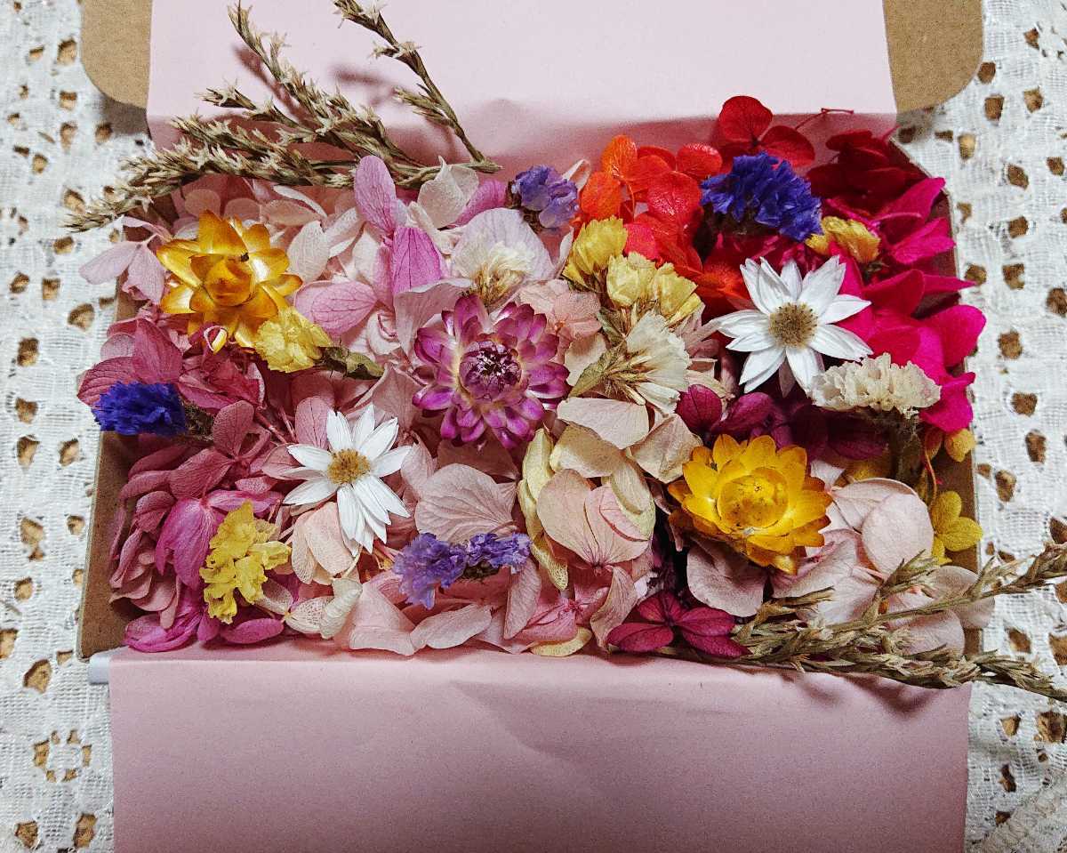 花材 ドライフラワー ハーバリウム プリザーブドフラワー 紫陽花 あじさい アジサイ 訳あり 練習用 の落札情報詳細 ヤフオク落札価格情報 オークフリー スマートフォン版