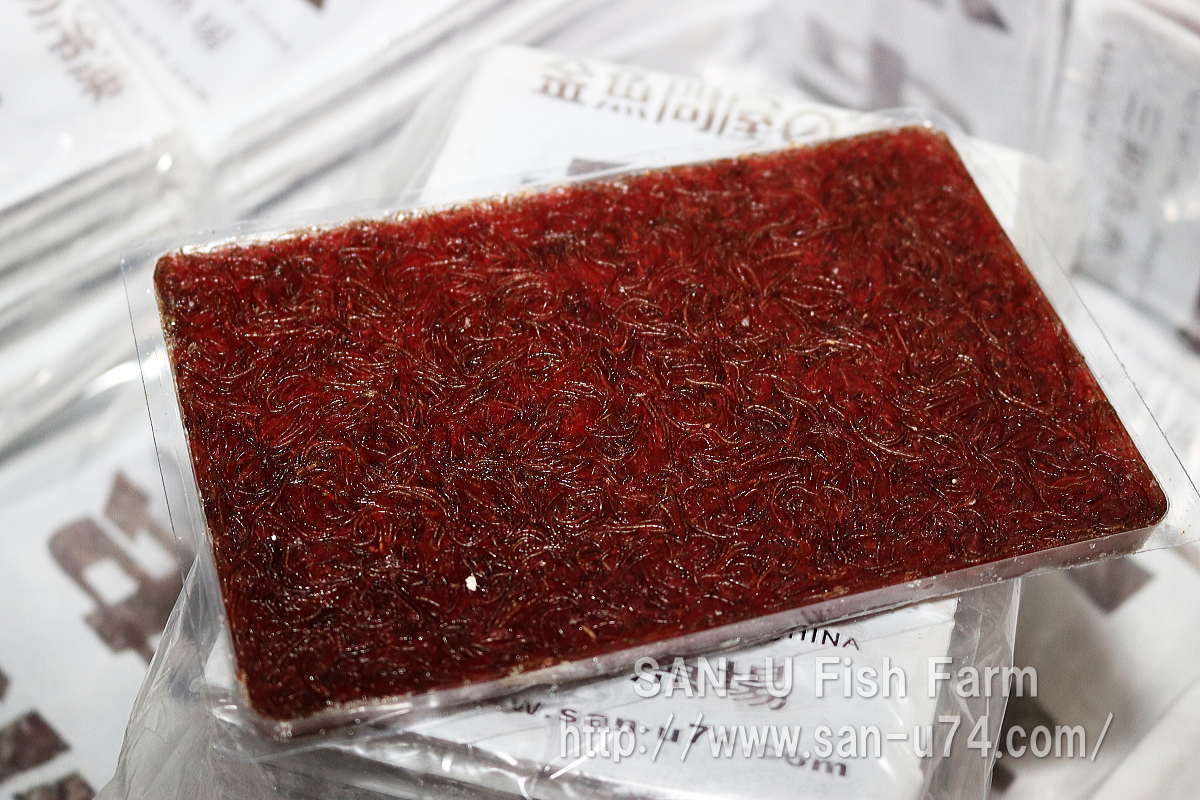 新品 30枚 金魚問屋の冷凍赤虫100g 30枚セット 板チョコタイプ アカムシ レッドワーム 金魚 熱帯魚 らんちゅう 冷凍便でお届け の落札情報詳細 ヤフオク落札価格情報 オークフリー スマートフォン版
