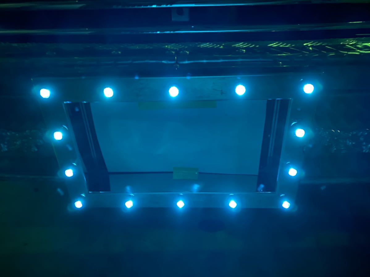 パイロット ナンバー枠 ステンレス 中型 LED グリーンレンズ新品