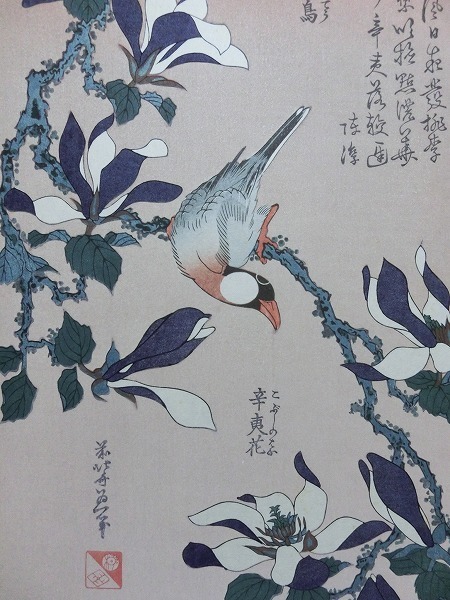 葛飾北斎 文鳥と辛夷花☆大判 浮世絵 錦絵 木版画 摺物 古書 和本
