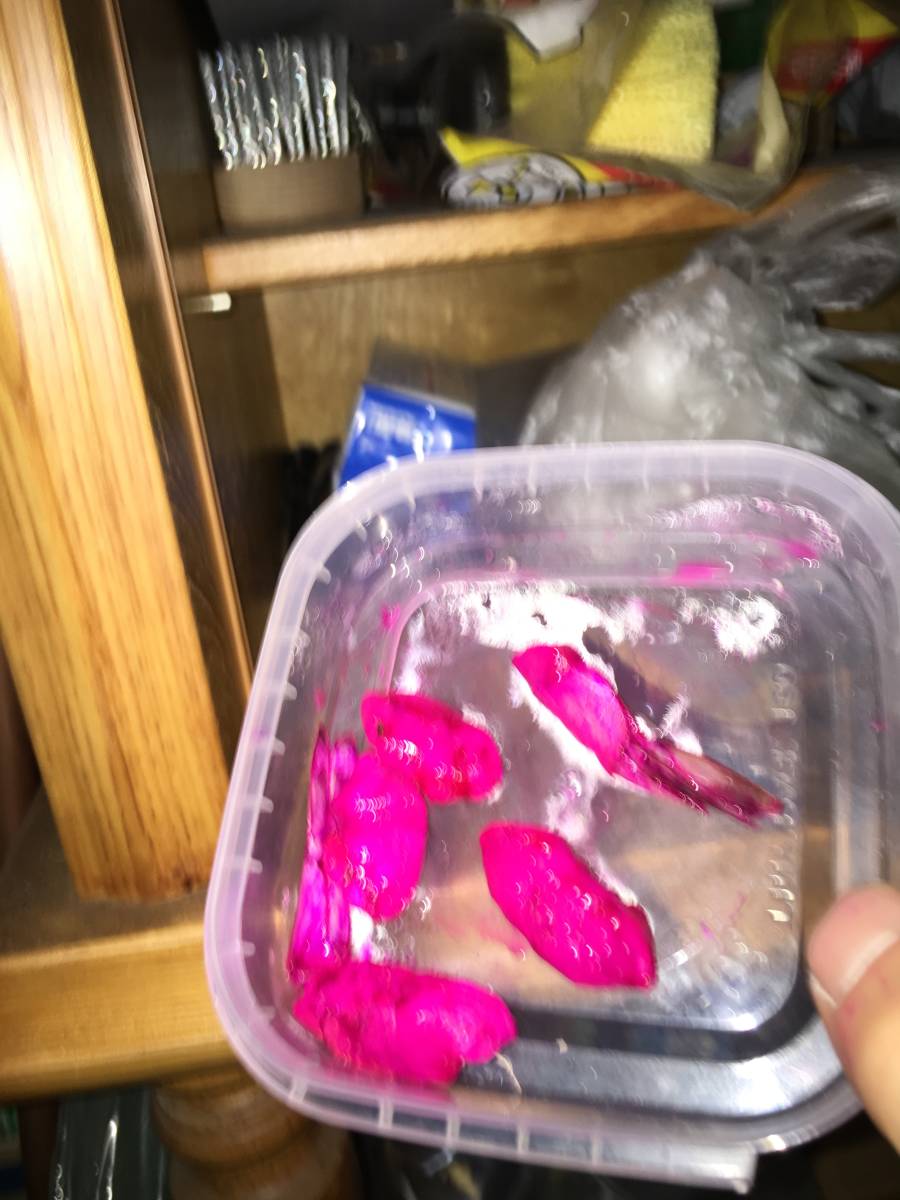 新品 食紅 蛍光ピンク ケイムラ カラフトマス アキアジ サケ 釣り餌 エビ イカなどの着色に の落札情報詳細 ヤフオク落札価格情報 オークフリー スマートフォン版