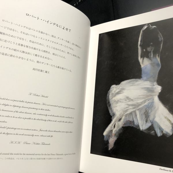 ロバート・ハインデル ダークネス&ライト The Art of Robert Heindel