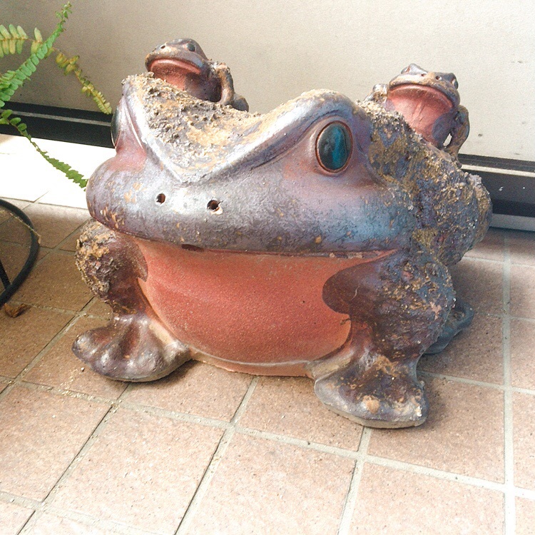 信楽焼 親子ガエル 蛙 かえる 置き物 縁起物 商売繁盛 信楽焼