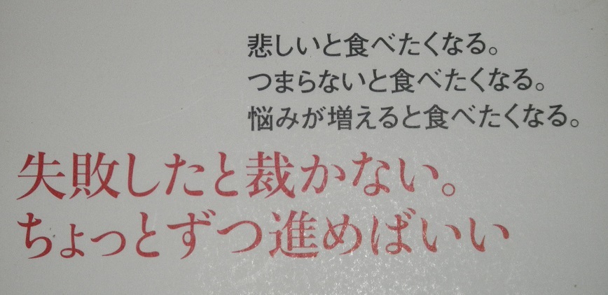 即決 不食という生き方 秋山佳胤 著 ８年間 食べない を実践する弁護士 の落札情報詳細 ヤフオク落札価格情報 オークフリー スマートフォン版