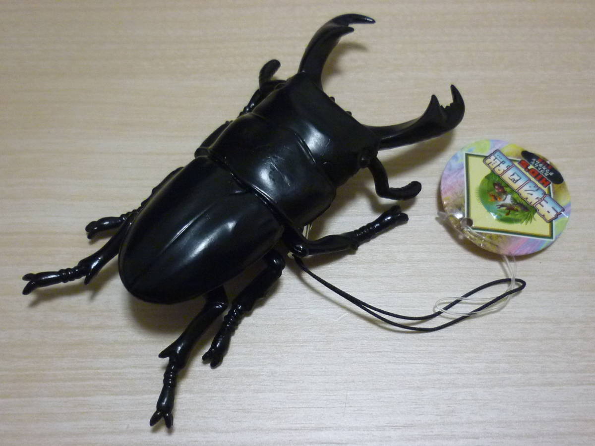 大型クワガタ・カブトムシ3種標本セット 外国産クワガタ・カブトムシ