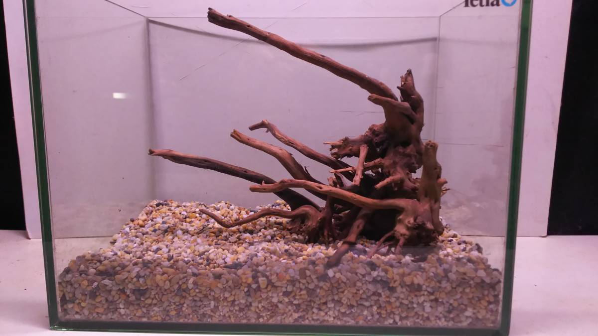 新品 11 新品 流木 ブランチウッド5本 検 人気 水槽 Ada 熱帯魚 メダカ レイアウト 滝 の落札情報詳細 ヤフオク落札価格情報 オークフリー スマートフォン版