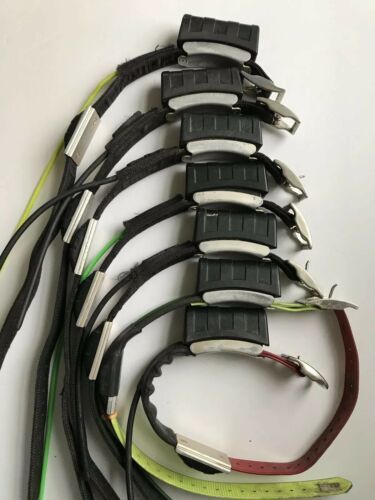 dc30 tracking collar