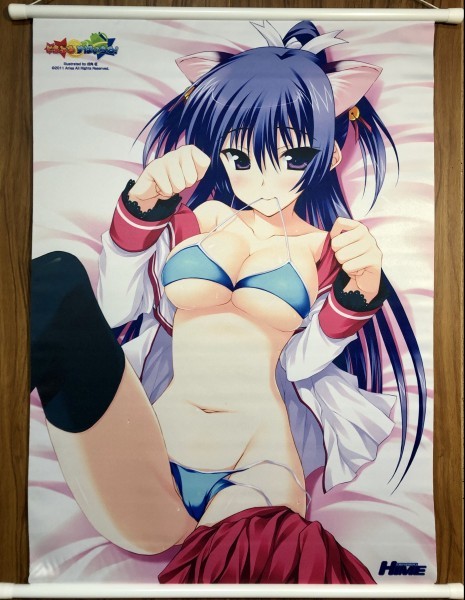 電撃姫 とらぶる すぱいらる 誌上通販 タペストリー 早乙女凛子 戌角柾 Aries 電撃hime の落札情報詳細 ヤフオク落札価格情報 オークフリー スマートフォン版