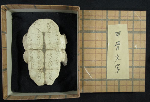 中国殷(商)時代 漢字の初源 甲骨文字が彫られた 亀の甲羅 腹甲 甲骨器
