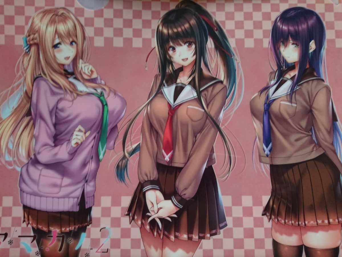 クリアファイル アマカノ ピロ水 あざらしそふと NEXTON ぽく 高