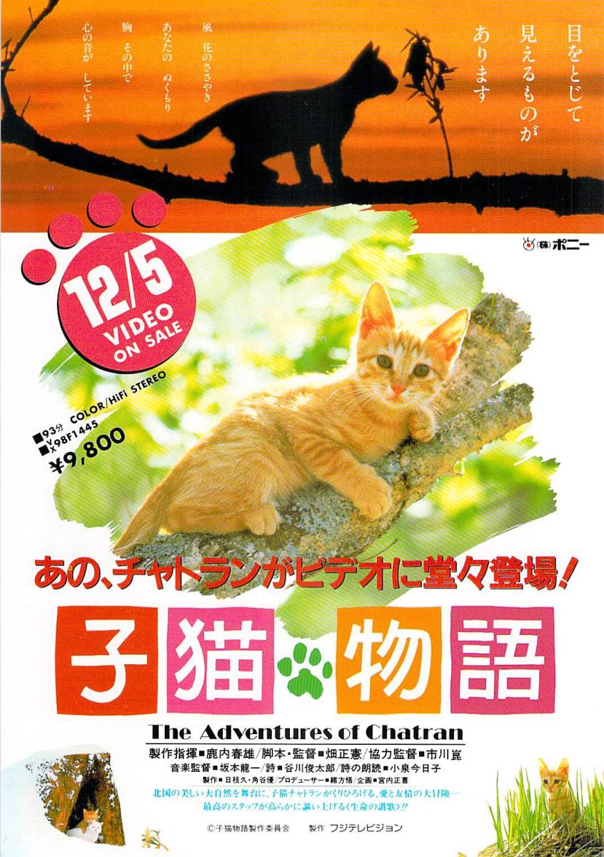 映画 ビデオ チラシ 子猫物語 フジテレビジョン 畑正憲 ムツゴロウ 小泉今日子 谷川俊太郎 チャトラン The Adventures Of Chatran の落札情報詳細 ヤフオク落札価格情報 オークフリー スマートフォン版 映画 ビデオ チラシ 子猫物語 フジテレビジョン 畑正憲 ムツゴロウ 小泉今日子 谷川俊太郎 チャトラン The Adventures Of Chatran の落札情報詳細 ヤフオク落札価格情報 オークフリー スマートフォン版