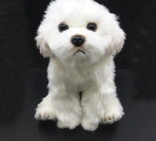 新品】*新品* 本物◇! マルチーズ ぬいぐるみ リアル プレゼント