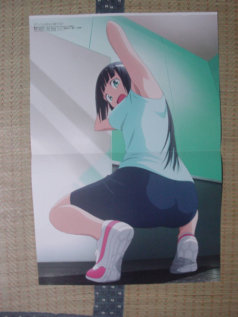 Re ステージ ドリームデイズ 柊かえ 本城香澄 水着 ダンベル何キロ持てる 奏流院朱美 両面ピンナップポスター の落札情報詳細 ヤフオク落札価格情報 オークフリー スマートフォン版