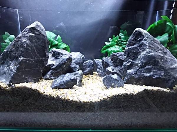 新品】10【人気商品】清流石15キロセット☆検 水槽 龍王石 ADA 熱帯魚