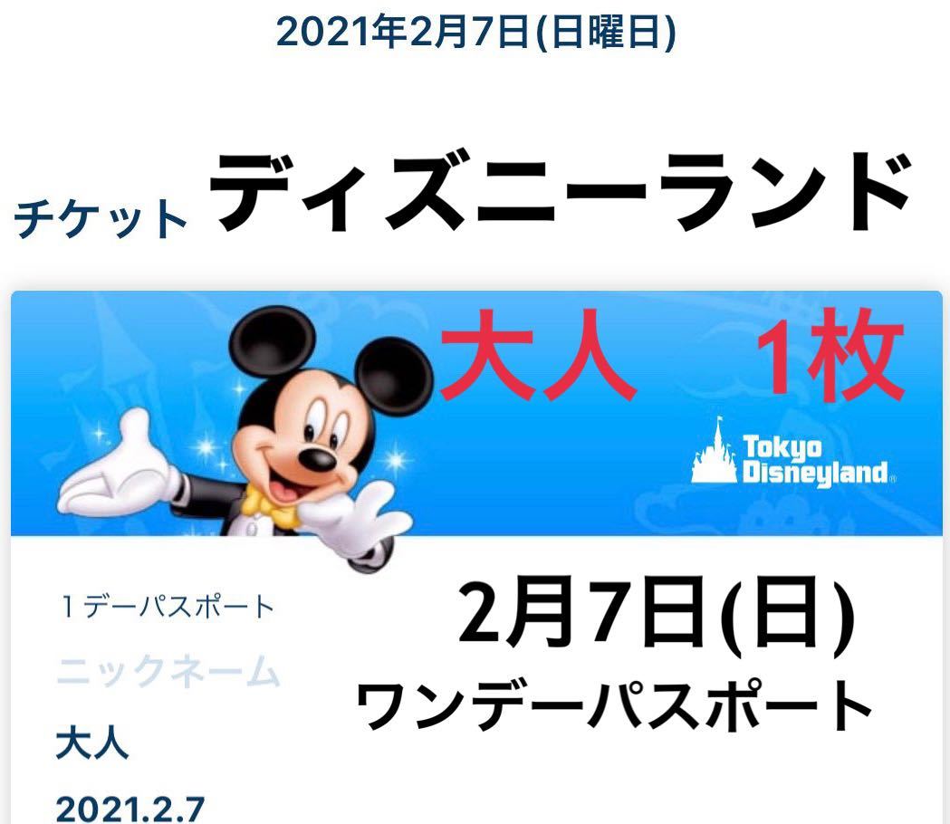 新品 1円スタート 東京ディズニーランド 2月7日 日 2 7 ワンデーパスポート 9時入園 大人1枚 ディズニー チケット の落札情報詳細 ヤフオク落札価格情報 オークフリー スマートフォン版