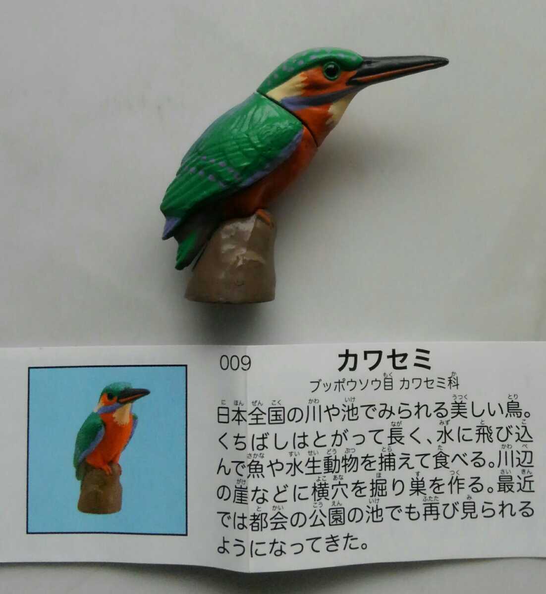 カワセミ チョコエッグ 日本の動物コレクション 10周年記念版 おまけ の落札情報詳細 ヤフオク落札価格情報 オークフリー スマートフォン版