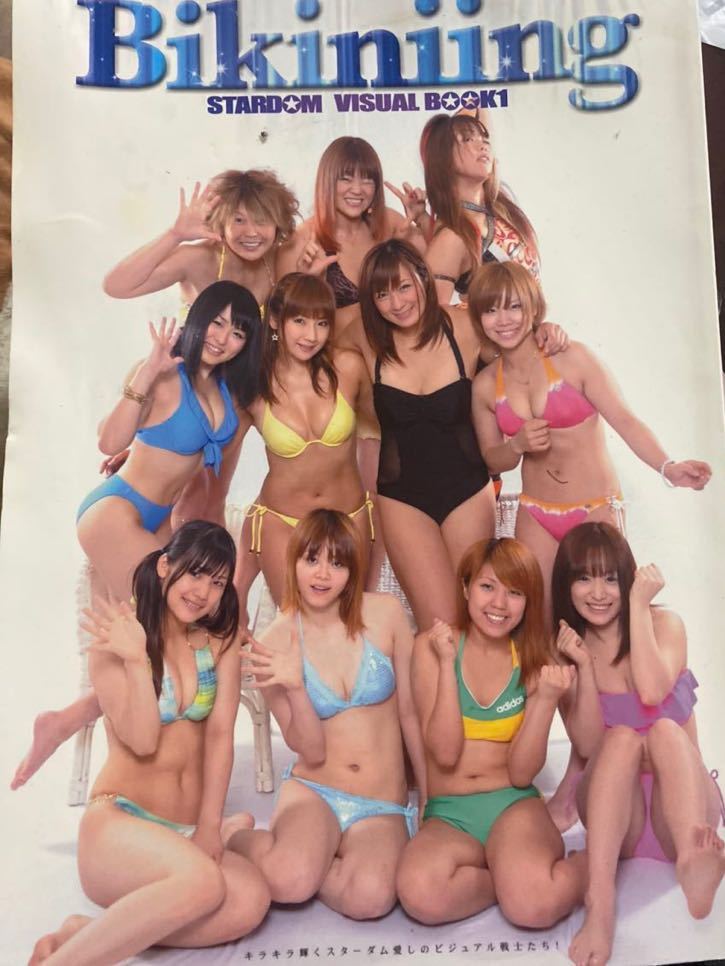 スターダム写真集 bikiniing 紫雷イオ カイリ・セイン 他 おまけ