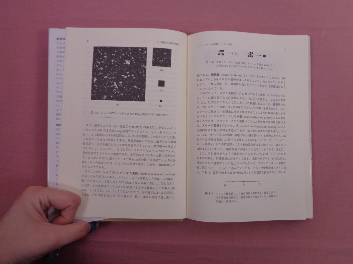相転移・臨界現象の統計物理学 新物理学シリーズ (新物理学シリーズ 35) 相転移・臨界現象の統計物理学 新物理学シリーズ35 中古本・書籍