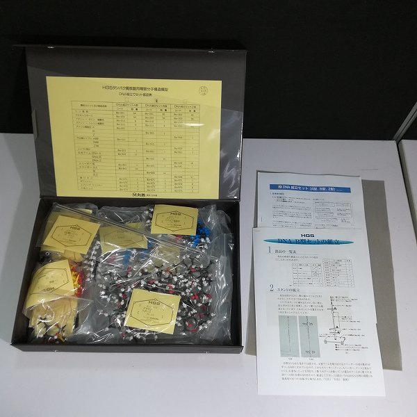 タンパク質 核酸用 精密分子構造模型 2個セット 【公式通販】