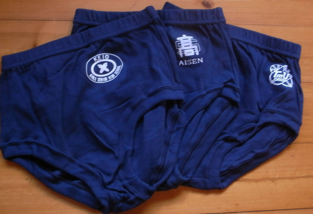 富士見丘中学 高校 旧指定体操服上下 ブルマ 激レア