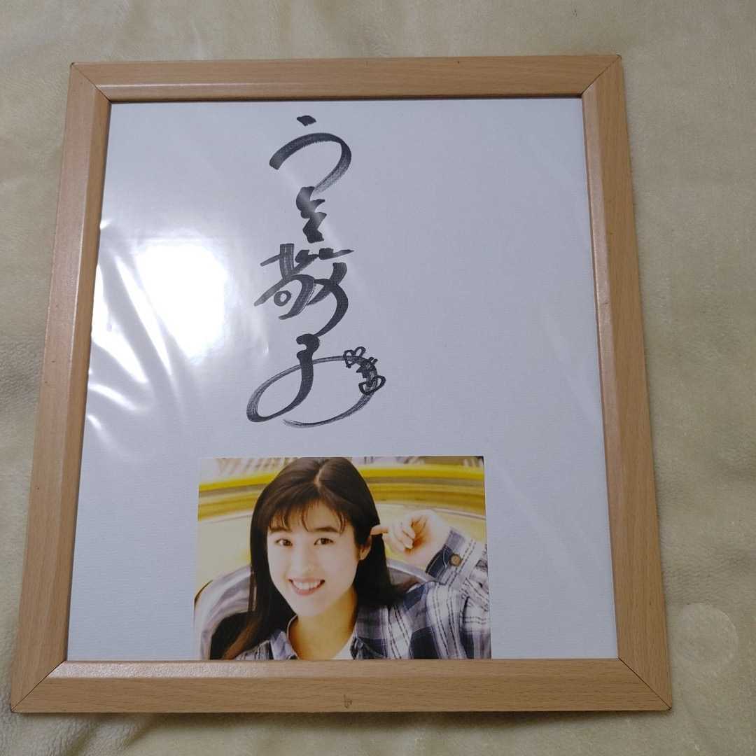 キッズスノーボード 120cm kissmark＋バイン＋ダイヤルブーツ 【公式通販】