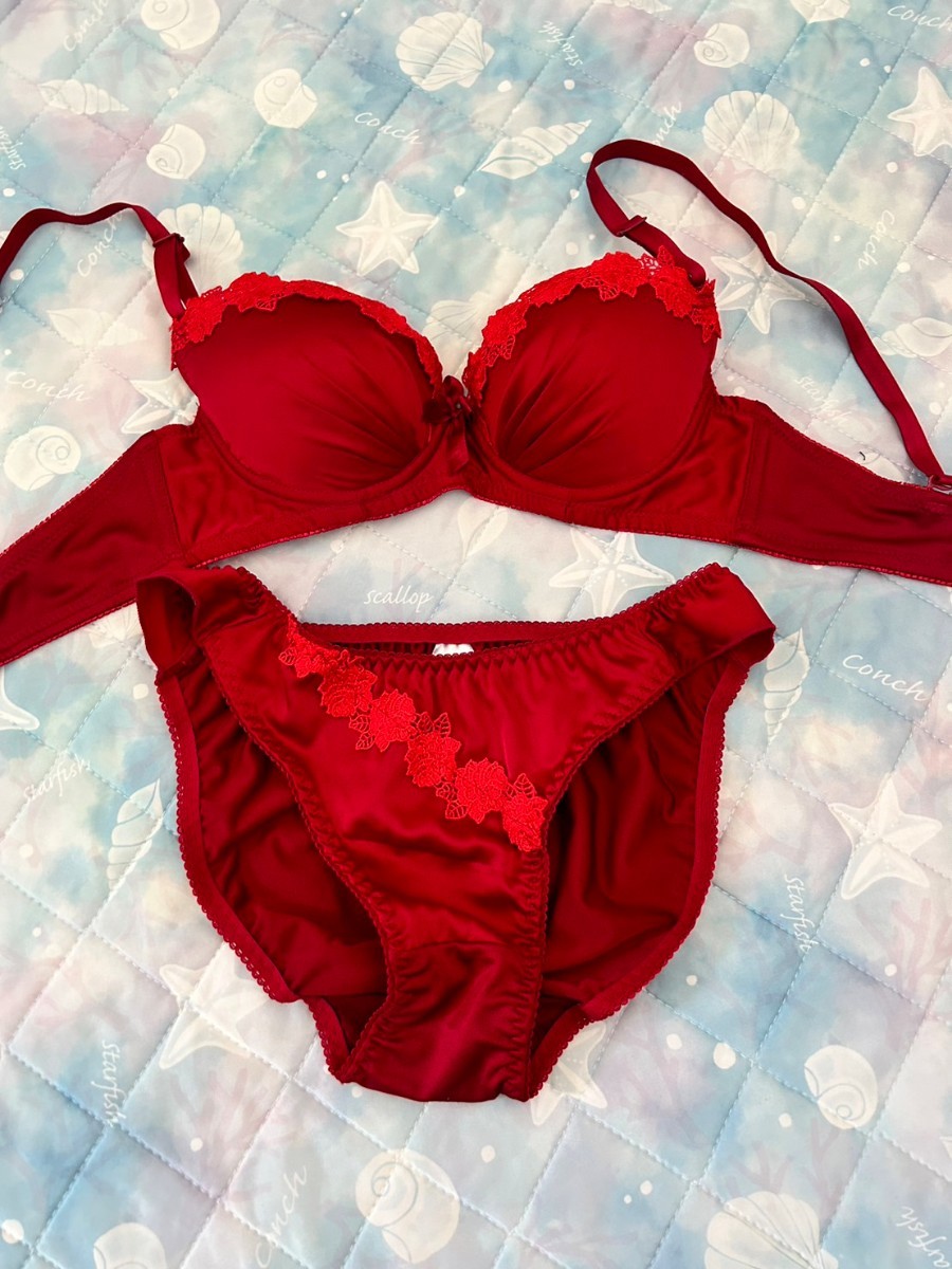 【未使用】ブラショーツセット 上下セット ブラジャー&パンティ 下着 パンツ ショーツの落札情報詳細 ヤフオク落札価格検索 オークフリー