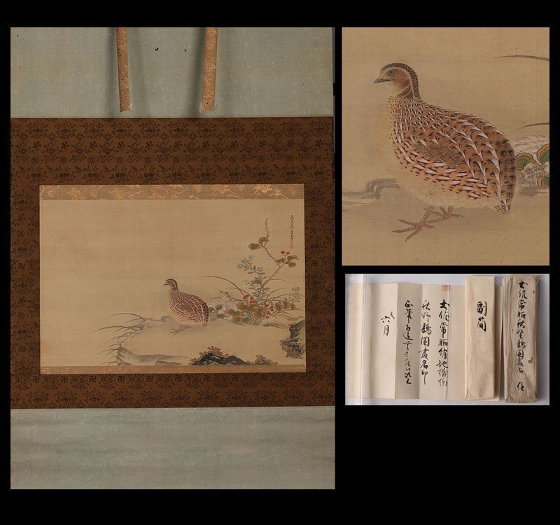 土佐光起 絹本着色花鳥画 【 春草花と鶉之図 】 肉筆 桐箱