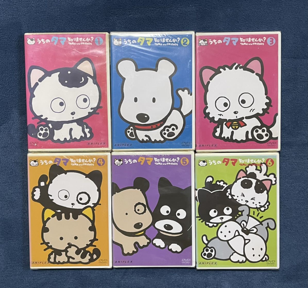 やや傷や汚れあり】[管:JMD121] うちのタマ知りませんか？ TAMA and