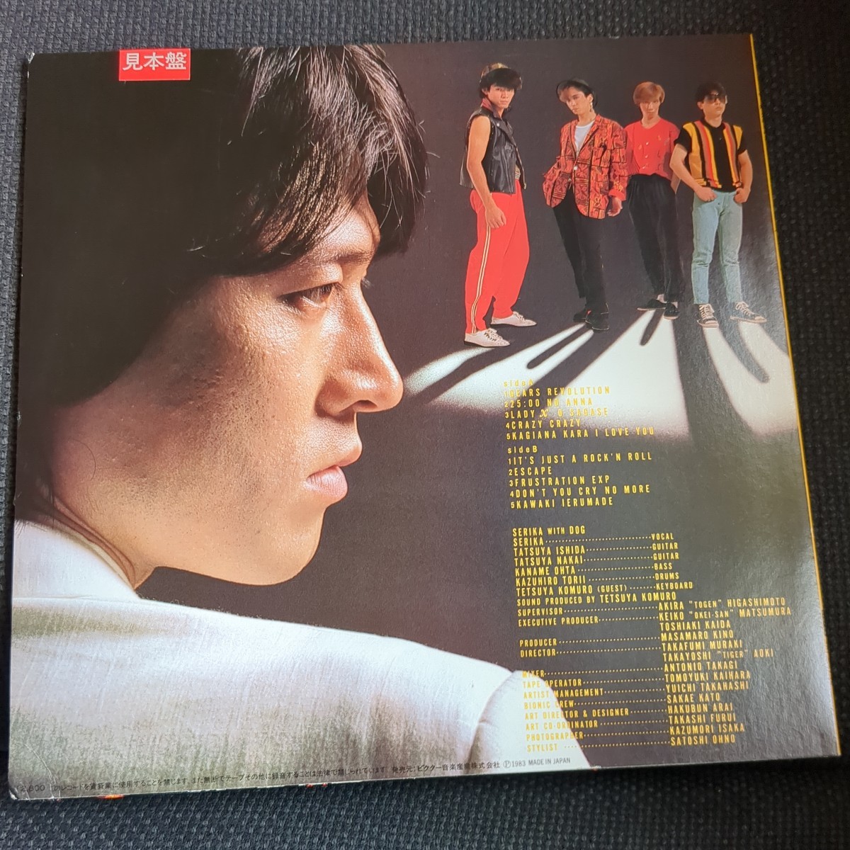 Caution! SERIKA WITH DOG LPレコード 【公式通販】