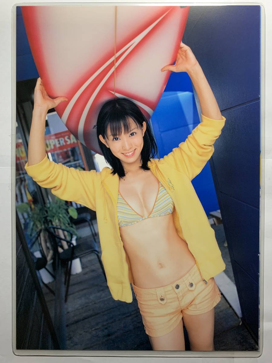 目立った傷や汚れなし】【厚手ラミネート加工】市川由衣 水着 A4雑誌