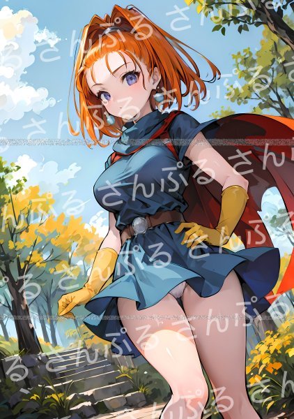 未使用】1c8 [おまけあり] ドラゴンクエスト6 バーバラ 同人ポスター