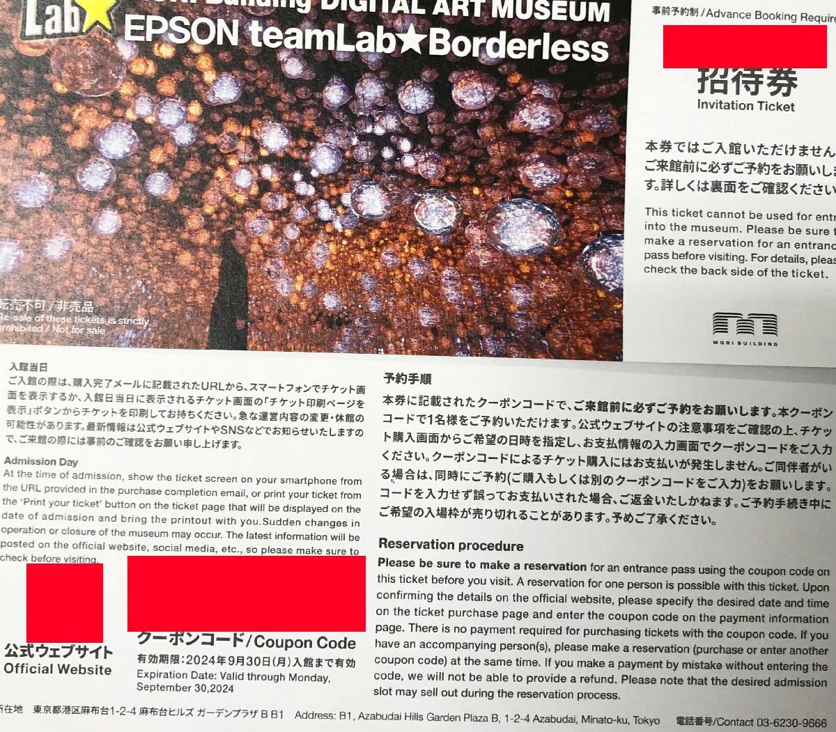 チームラボ ボーダレス 麻布台ヒルズ 2枚 招待券 【匿名配送】（2025 
