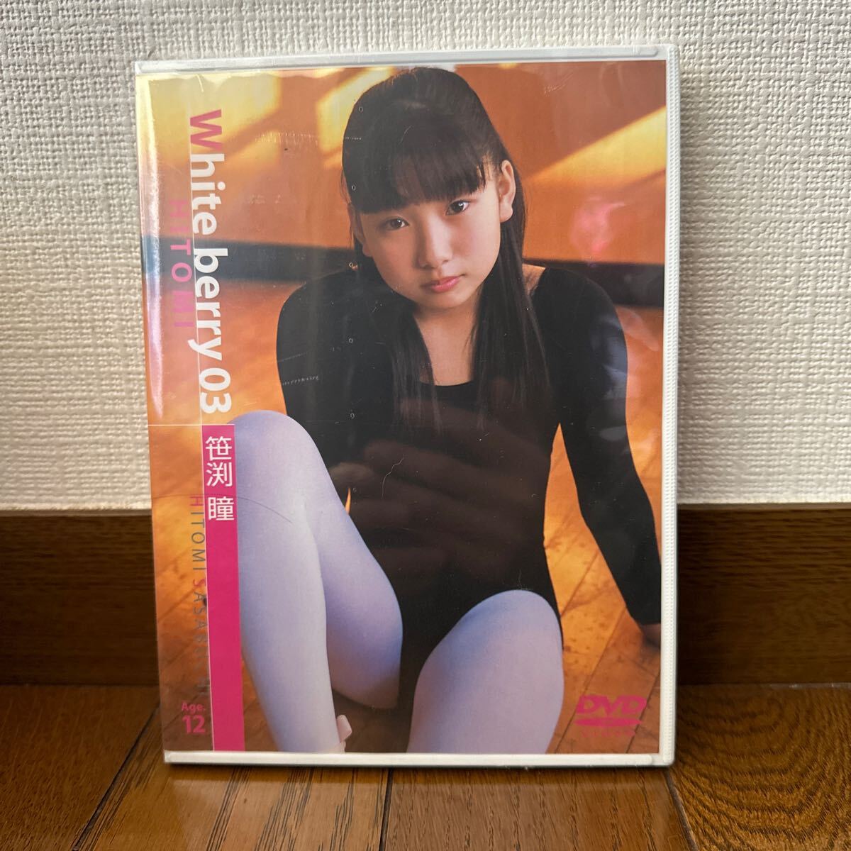 笹渕瞳 