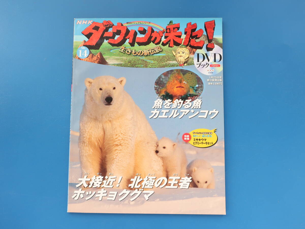NHKダーウィンが来た！DVDブック 1-37巻セット