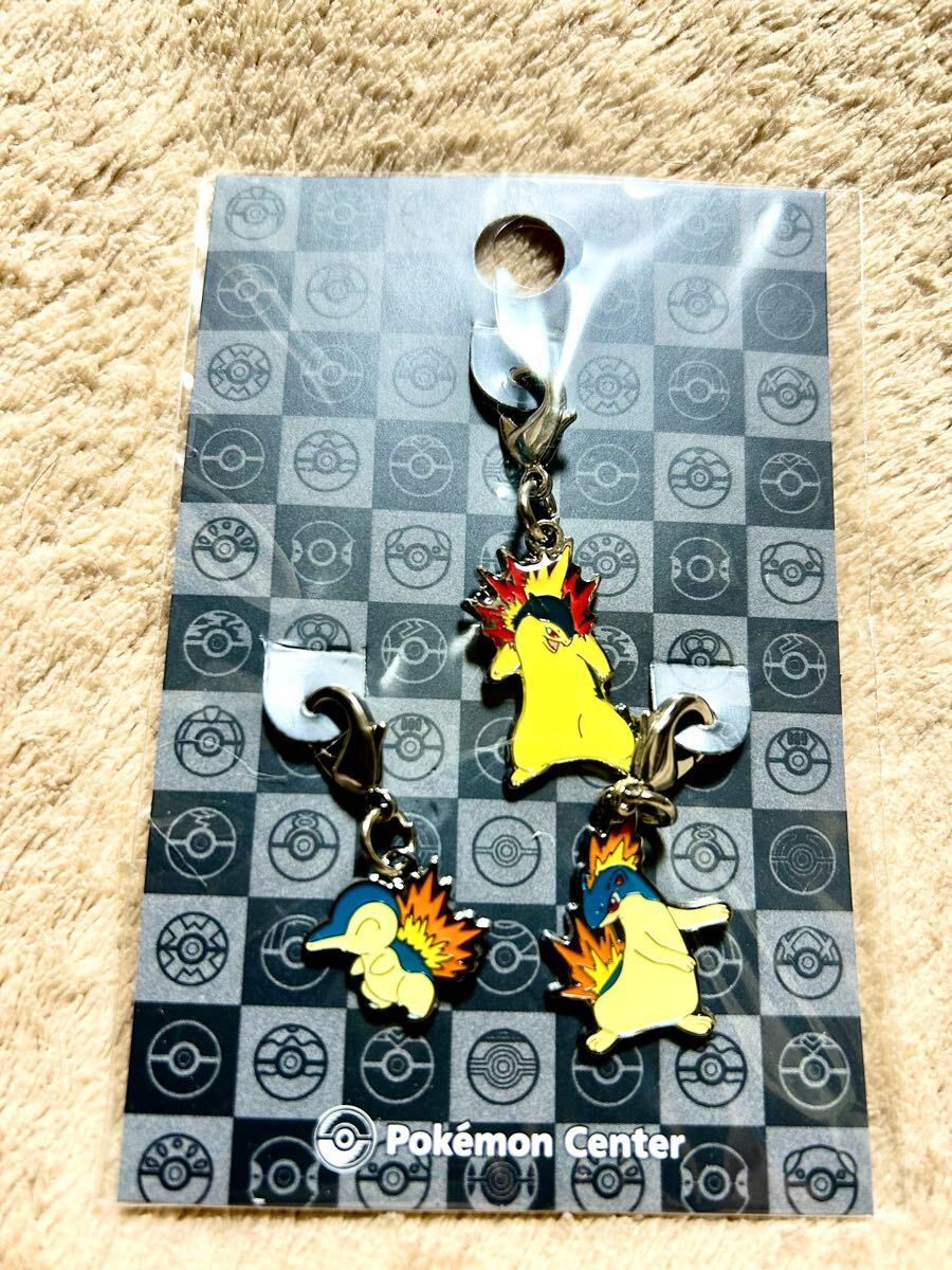 全国ずかんメタルチャーム ヒノアラシ マグマラシ バクフーン ポケモンセンター Pokemon ポケモンセンター オリジナル 全国ずかん メタル