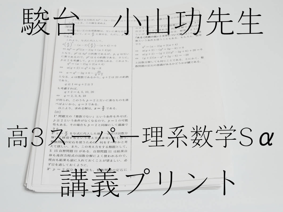 数学ZX　三森先生 全配布プリント(研究課題、補充問題あります)(前期後期) 駿台 高3 エクストラ 数学 三森司 春期 前期 夏期 後期 プリント 板書