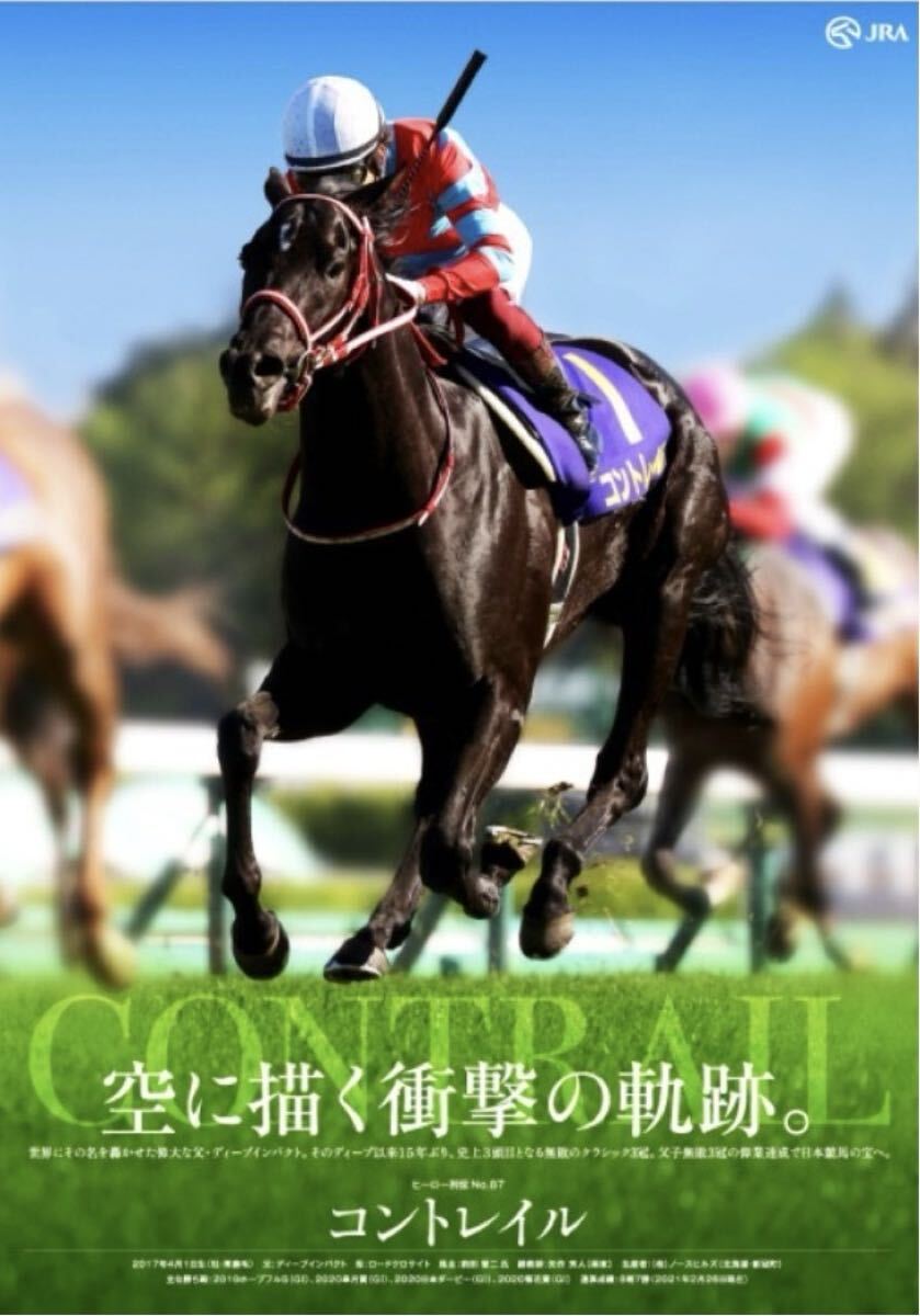 競馬］ディープインパクト JRA ポスター「感動をありがとう」A1 JRA