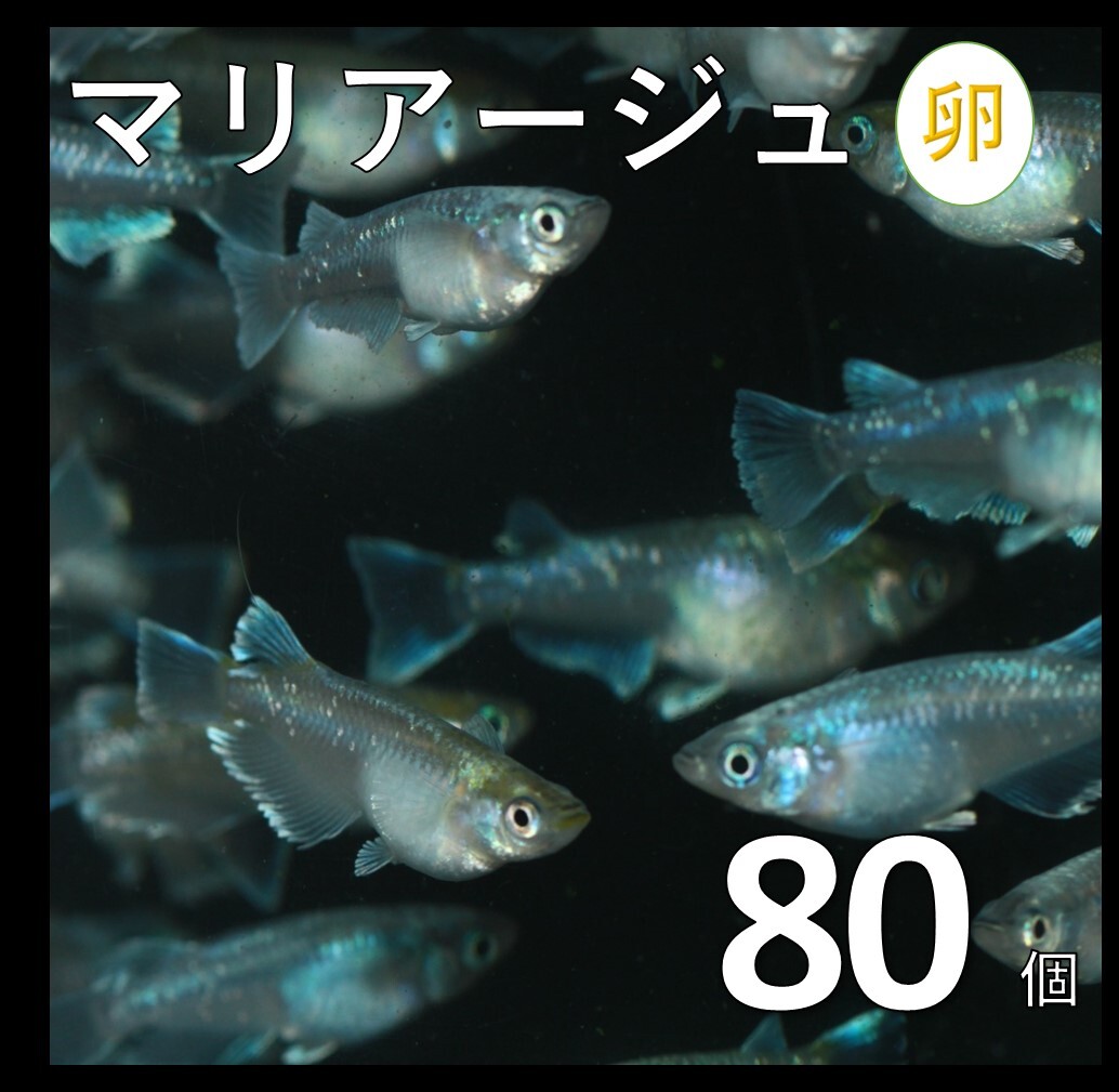 油彩画F4号　作者佐藤洋平　ニューヨークの光 多摩美 佐藤洋平先生 写実絵画 「光と影のマリアージュ」 2021年