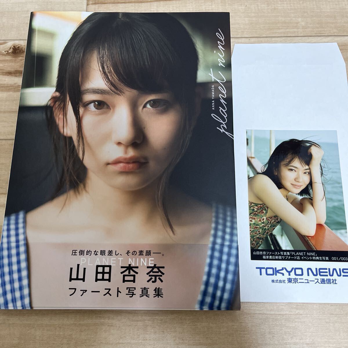 山田杏奈 ファースト写真集 イベント特典DVD PLANET NINE ミスミソウの