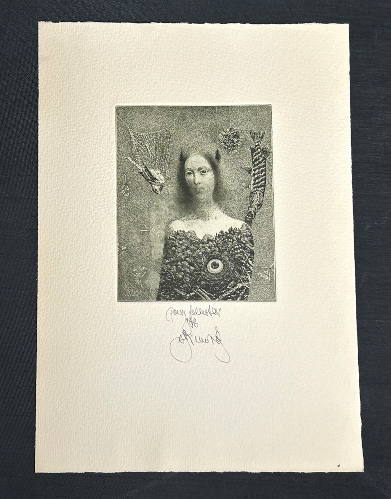 真作版画 銅版画 幻想の白い花 静謐な癒しの一枚 やさしい色彩 W67