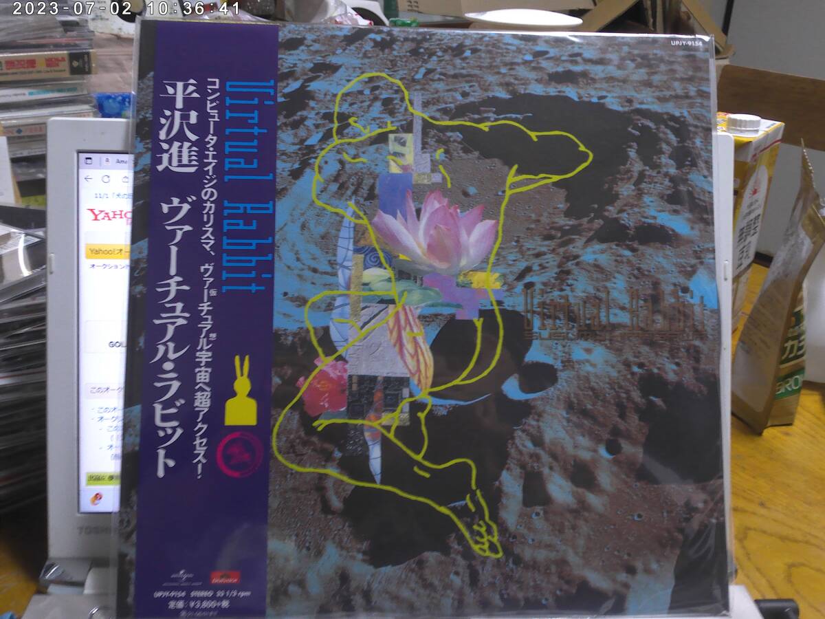 新品】新品LPレコード/初アナログ化/180g重量盤○SUSUMU HIRASAWA 平沢